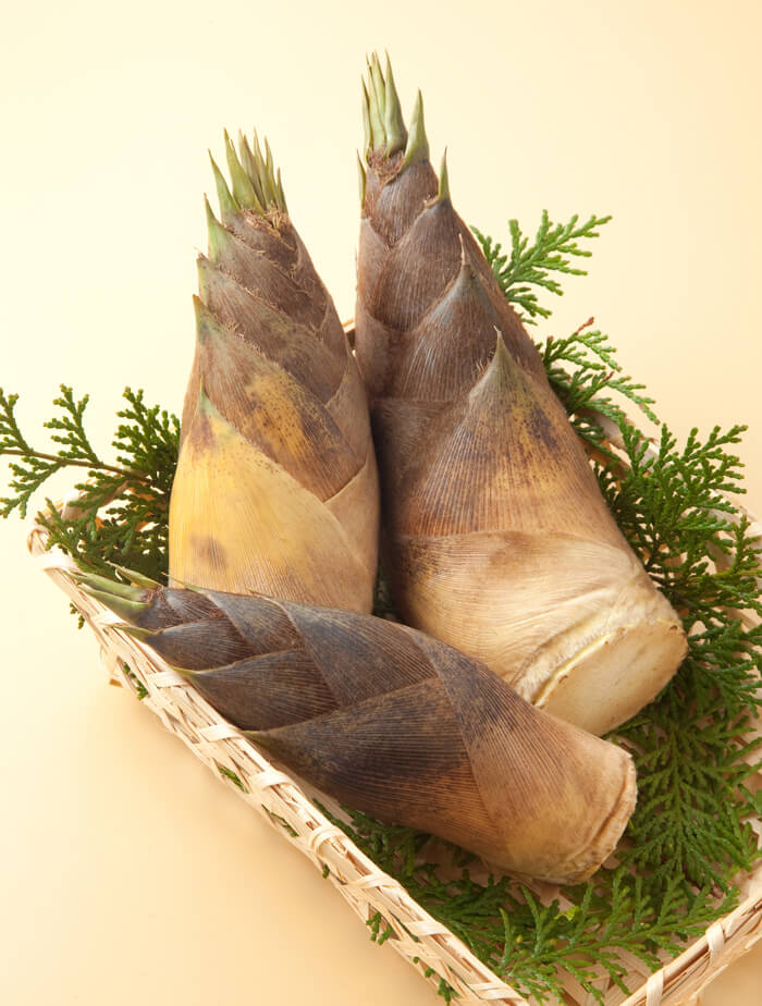 Bamboo shoot タケノコ
